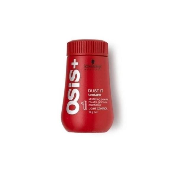 POLVO MATIFICADOR OSIS DUST IT 10GR